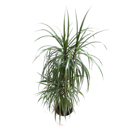 eibe sandkasten Meppi Sandkasten Laboe – Sand- & Wasserspaß für Kinder
