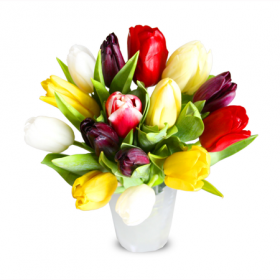 Žur tulipani